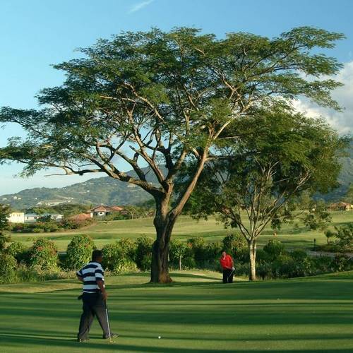 Get into the Swing in Costa Rica - Sportsmens Lodge