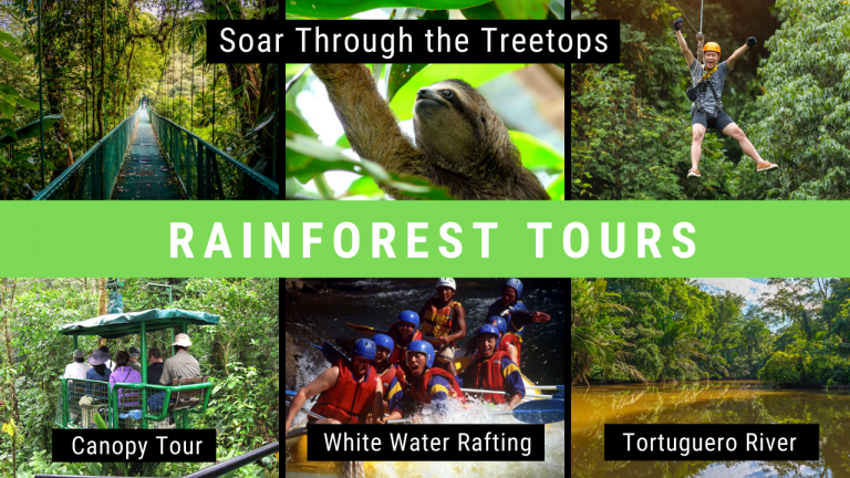 Rain Forest Tours