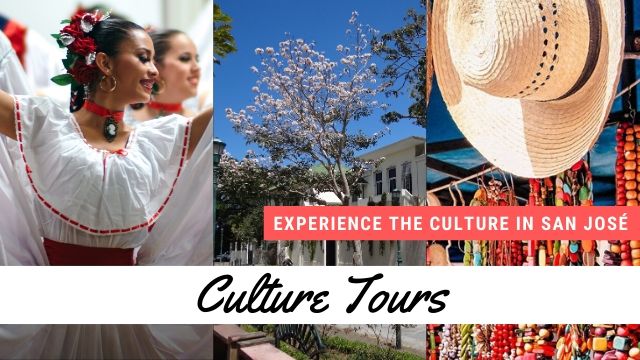 Culture Tours